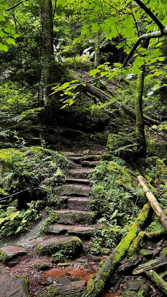 Wolfsschlucht Zwingenberg Neckartal Odenwald