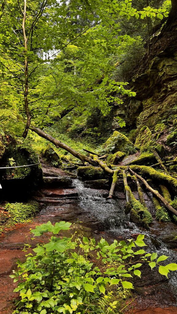 Wolfsschlucht Zwingenberg Neckartal Odenwald