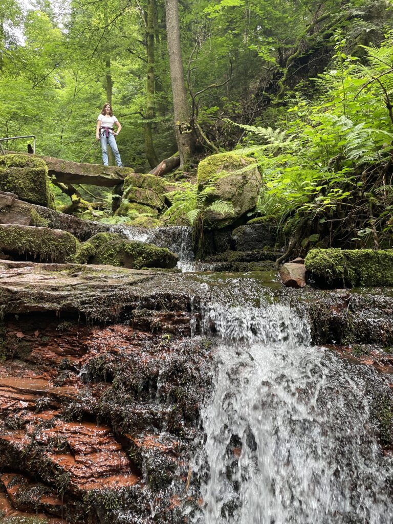 Wolfsschlucht Zwingenberg Neckartal Odenwald