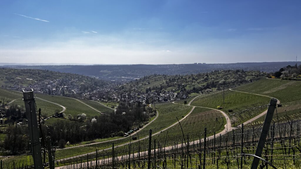 weinberge stuttgart rotenberg